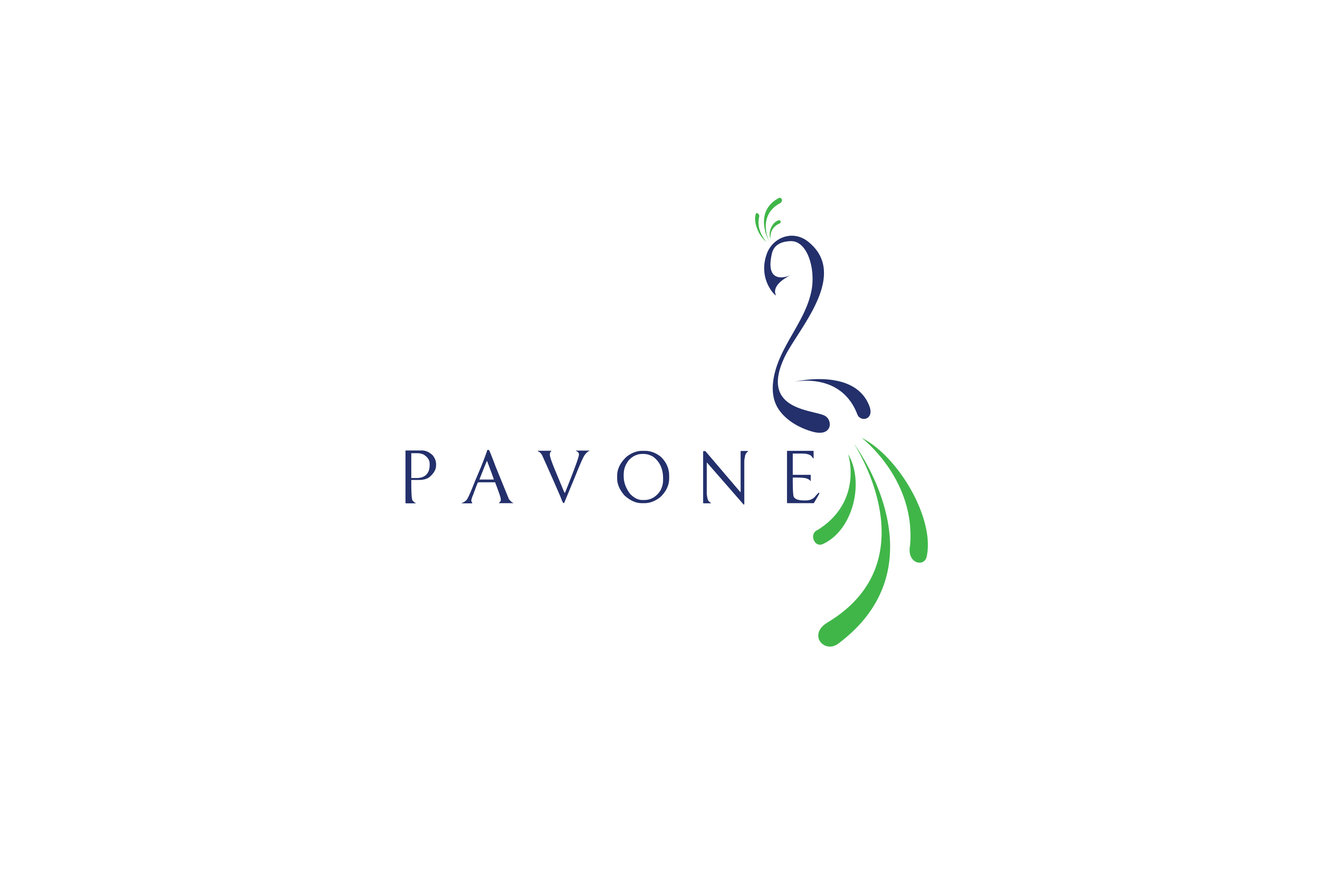 Pavone